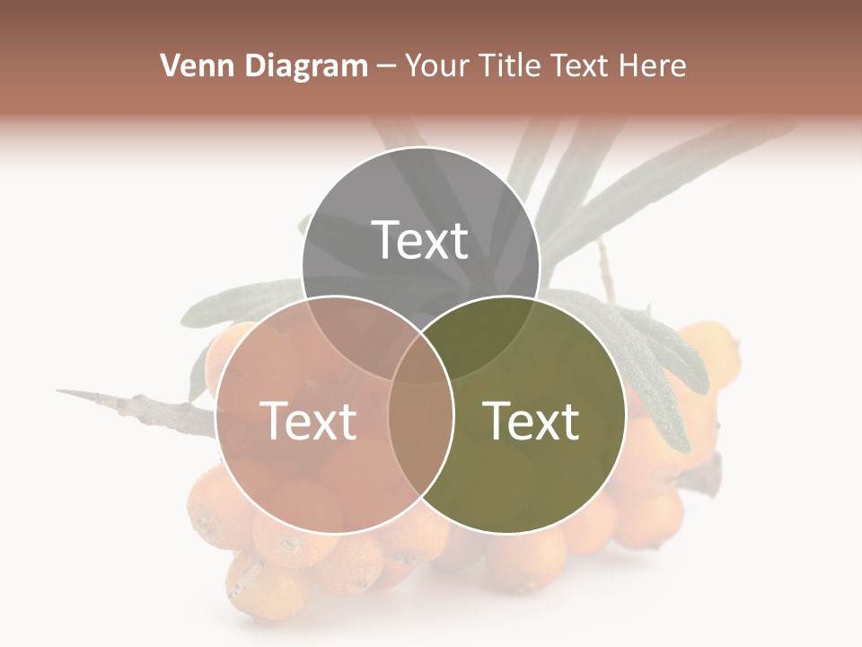 Nutrition Season Autumn PowerPoint Template