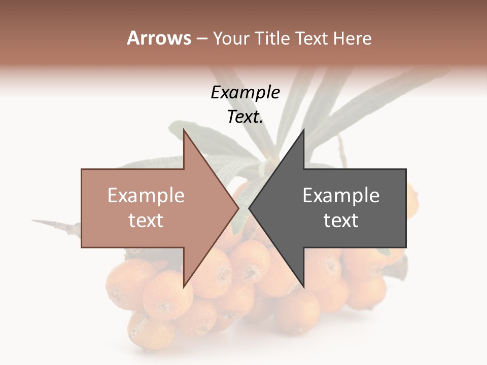 Nutrition Season Autumn PowerPoint Template