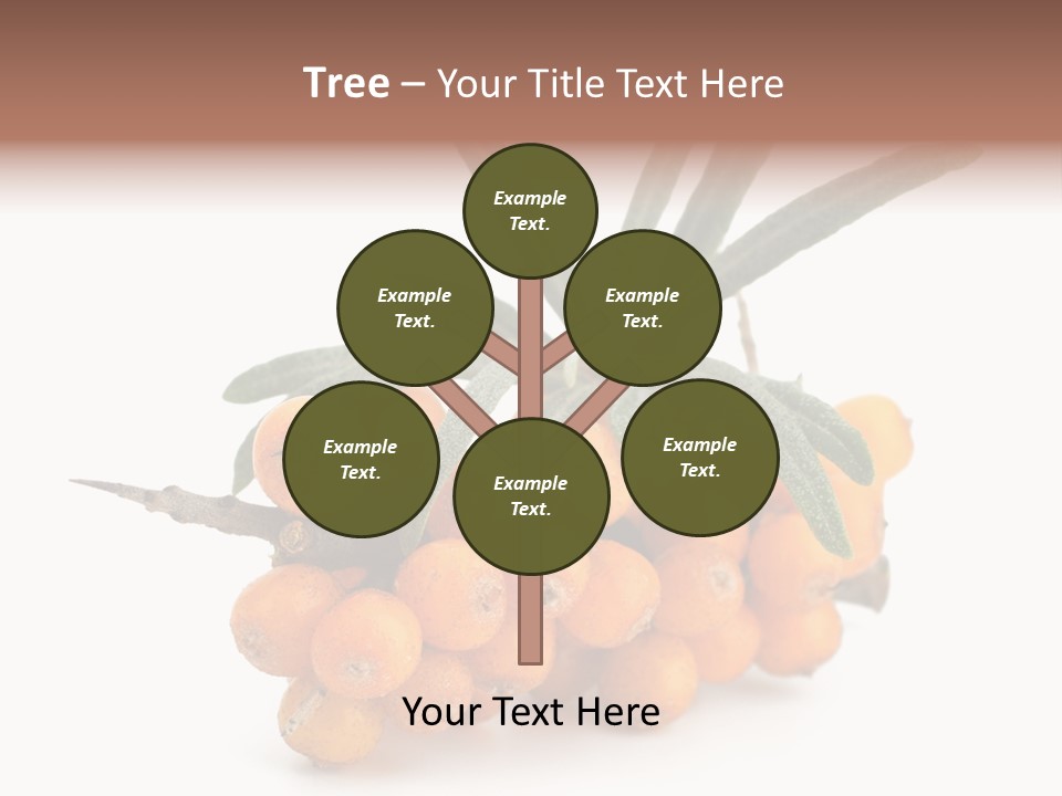 Nutrition Season Autumn PowerPoint Template