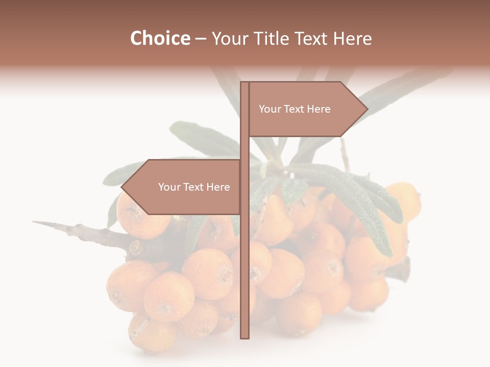 Nutrition Season Autumn PowerPoint Template