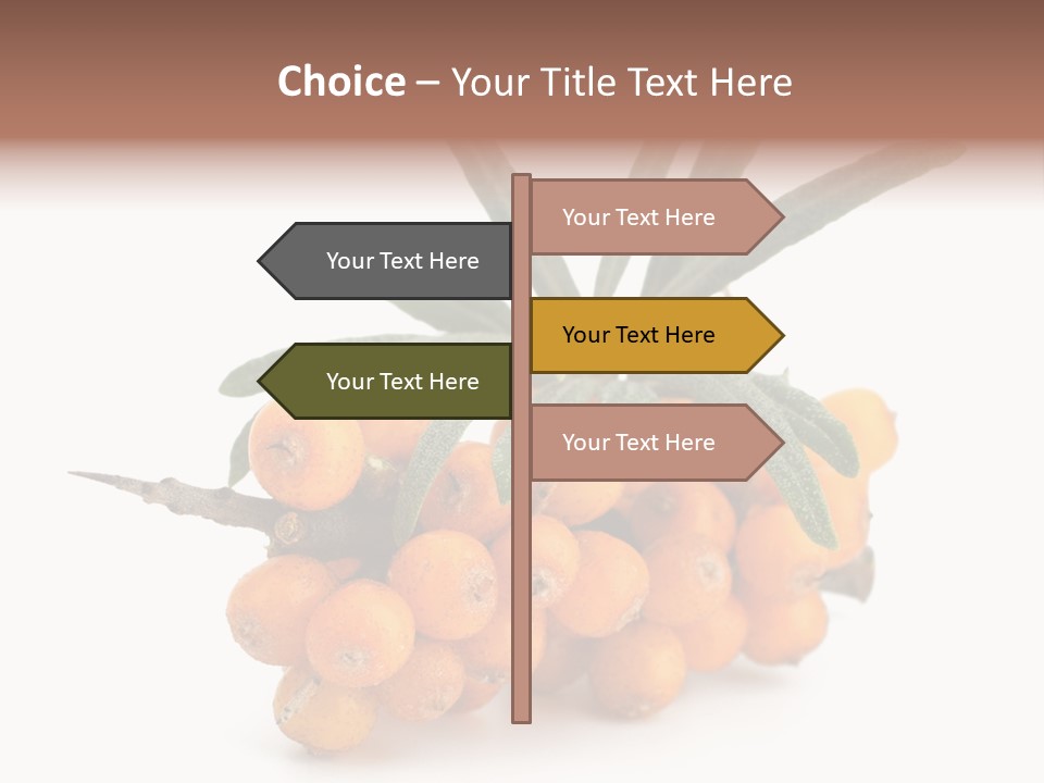 Nutrition Season Autumn PowerPoint Template