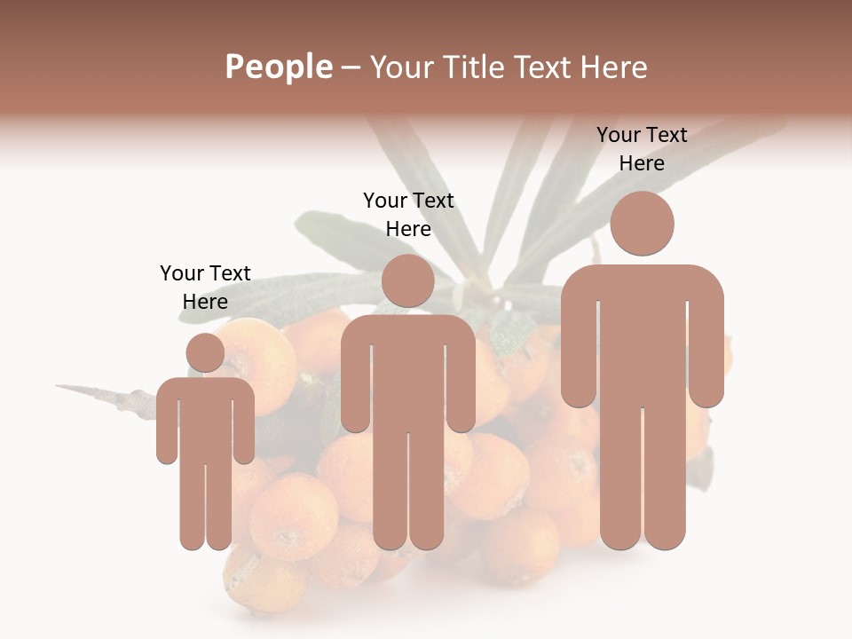 Nutrition Season Autumn PowerPoint Template