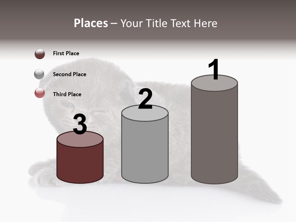 Scratch British English PowerPoint Template