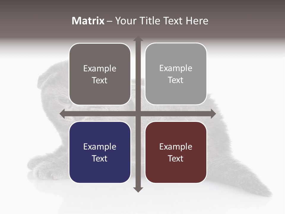 Scratch British English PowerPoint Template