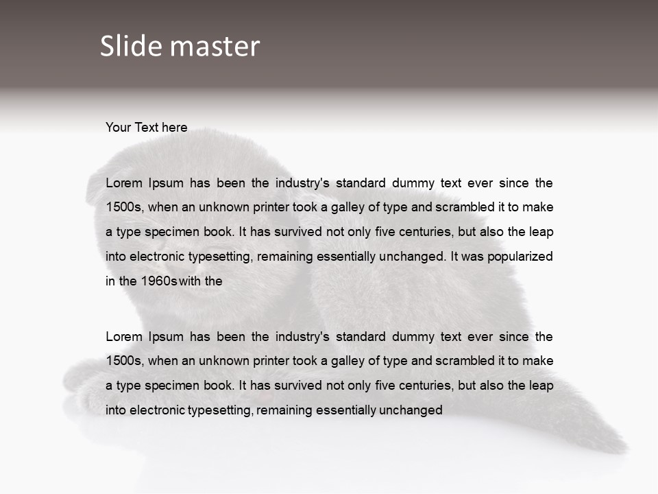 Scratch British English PowerPoint Template