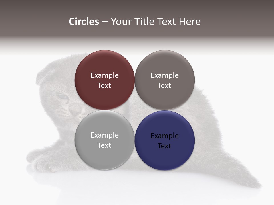 Scratch British English PowerPoint Template