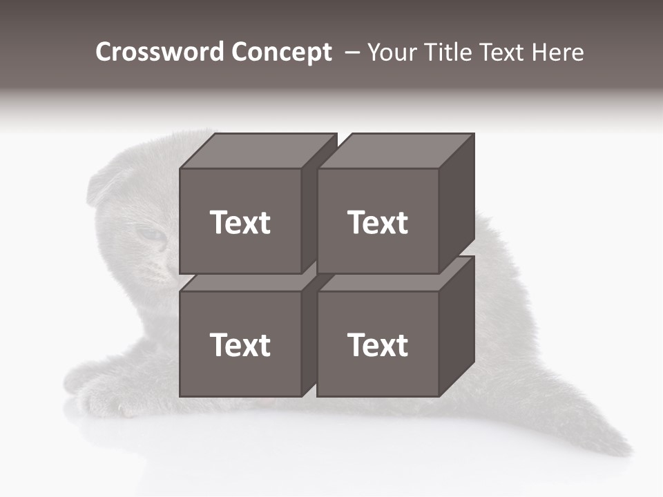 Scratch British English PowerPoint Template