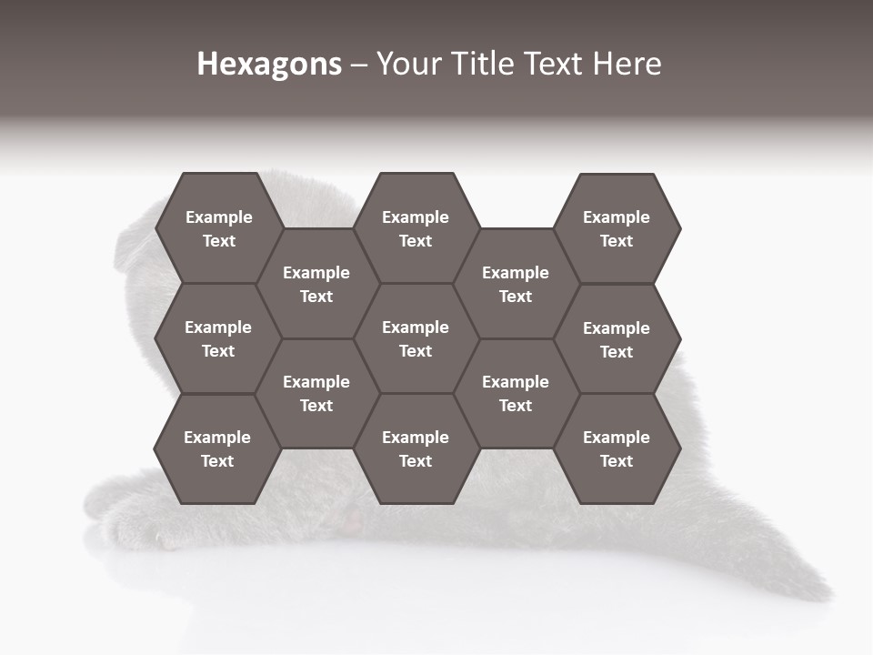 Scratch British English PowerPoint Template