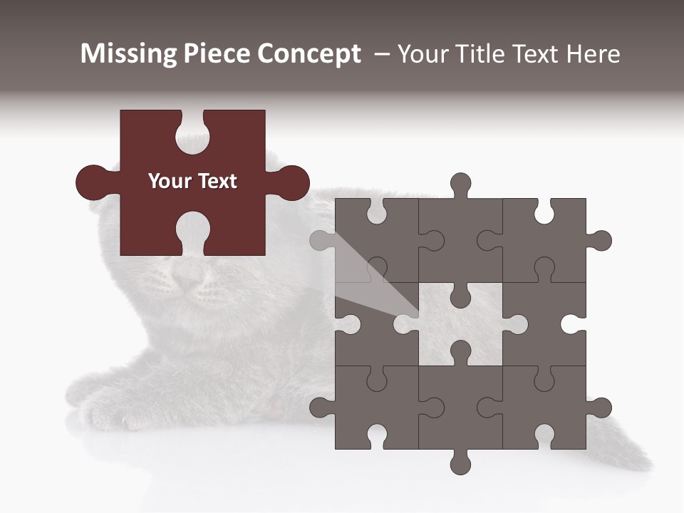 Scratch British English PowerPoint Template