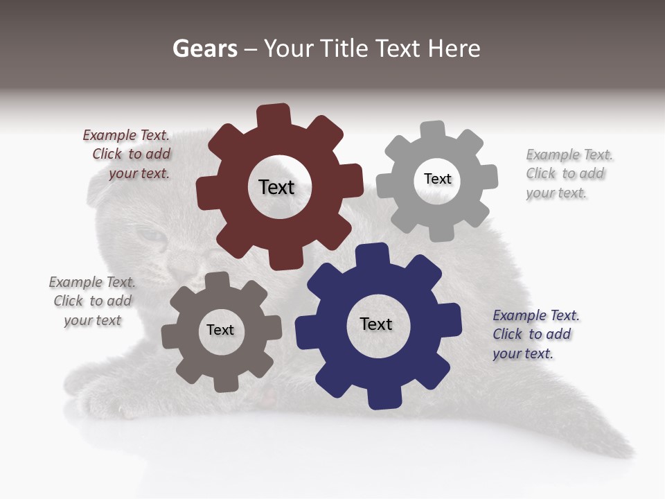 Scratch British English PowerPoint Template