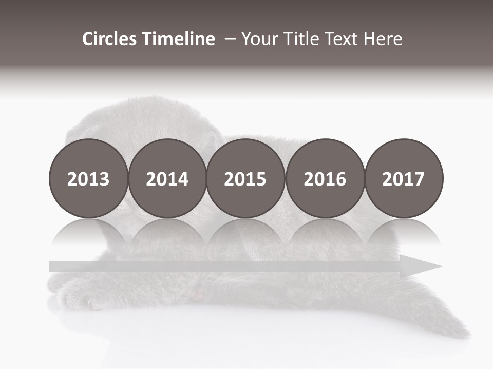 Scratch British English PowerPoint Template