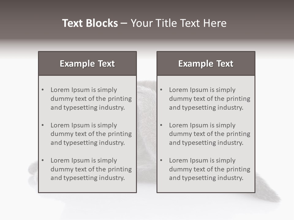 Scratch British English PowerPoint Template