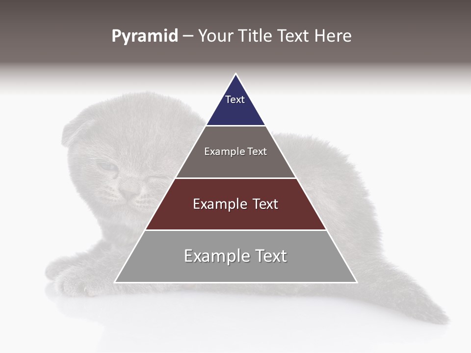 Scratch British English PowerPoint Template