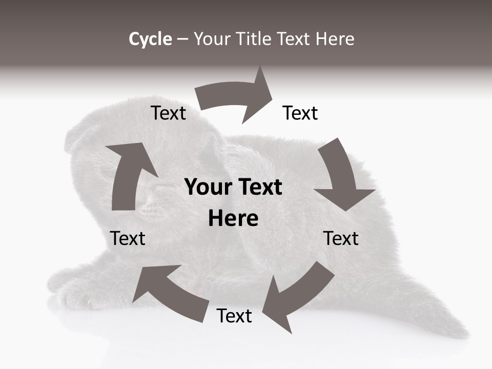 Scratch British English PowerPoint Template