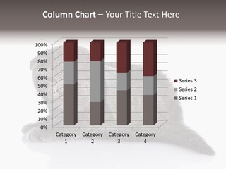 Scratch British English PowerPoint Template