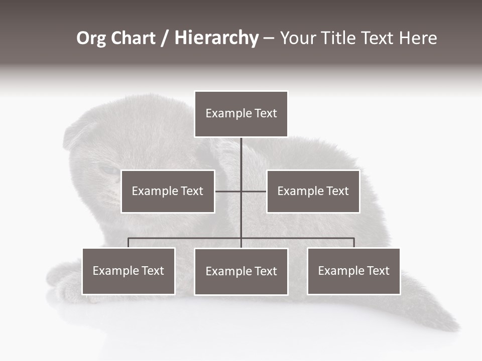 Scratch British English PowerPoint Template