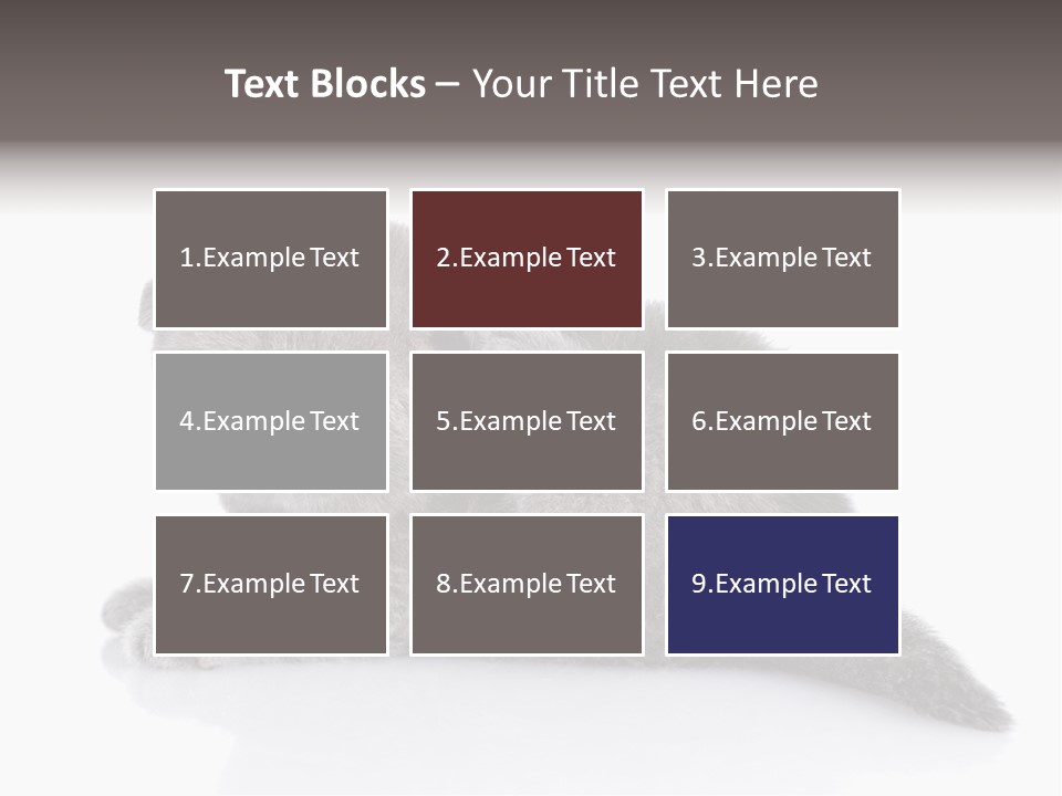 Scratch British English PowerPoint Template