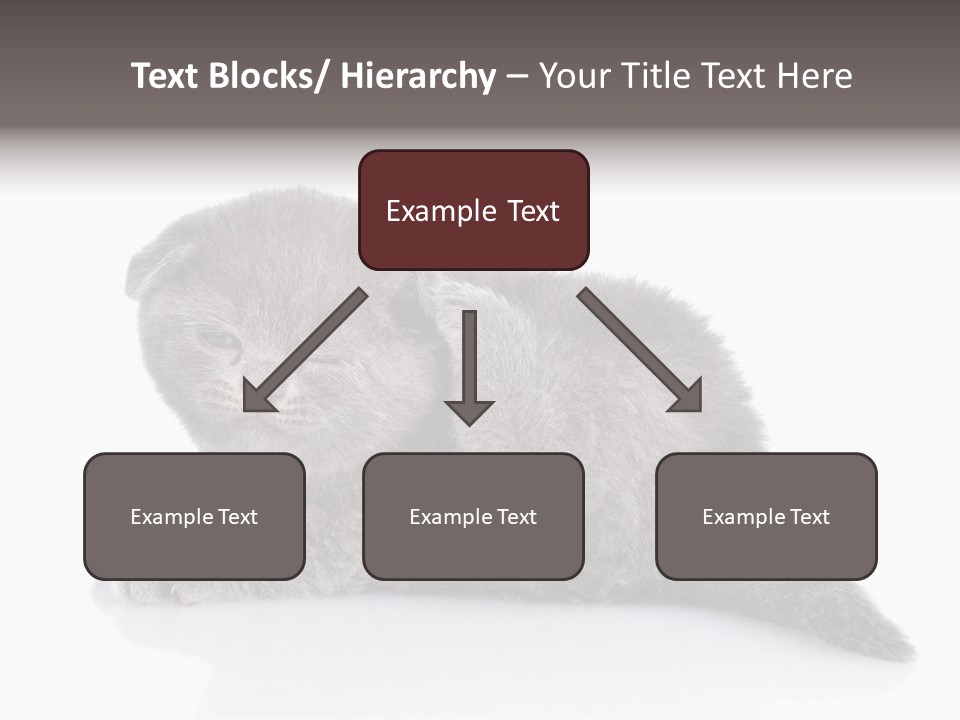 Scratch British English PowerPoint Template