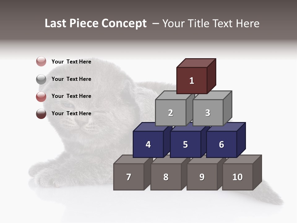 Scratch British English PowerPoint Template