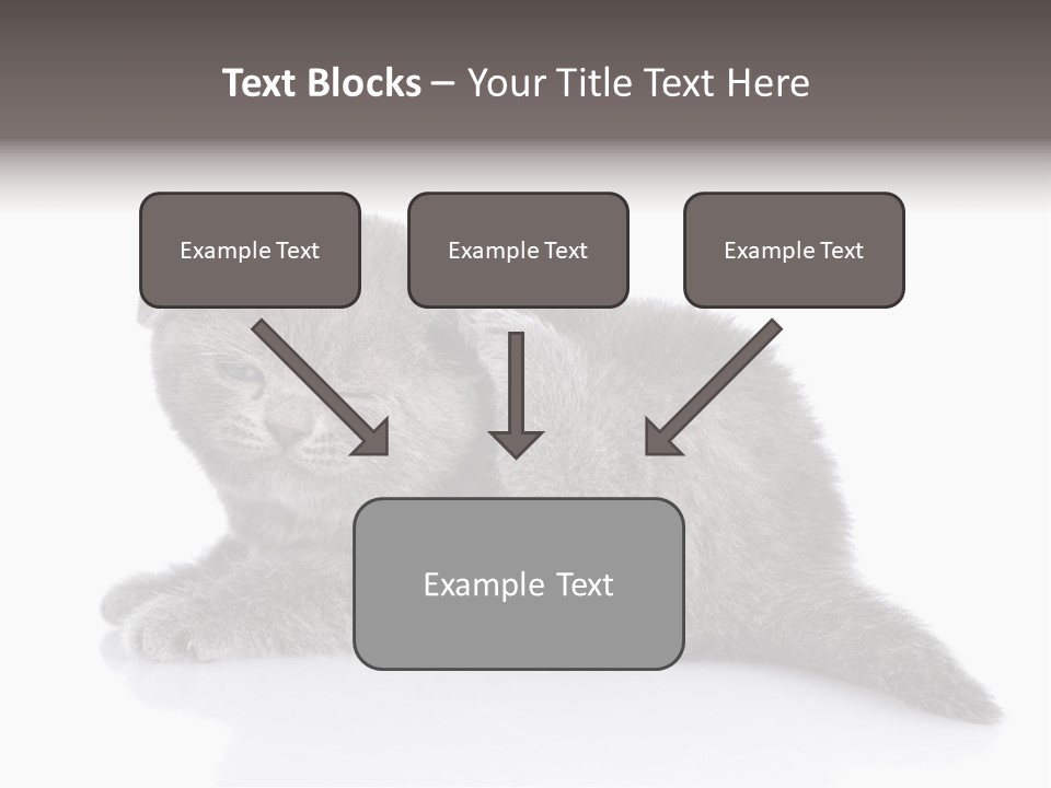 Scratch British English PowerPoint Template