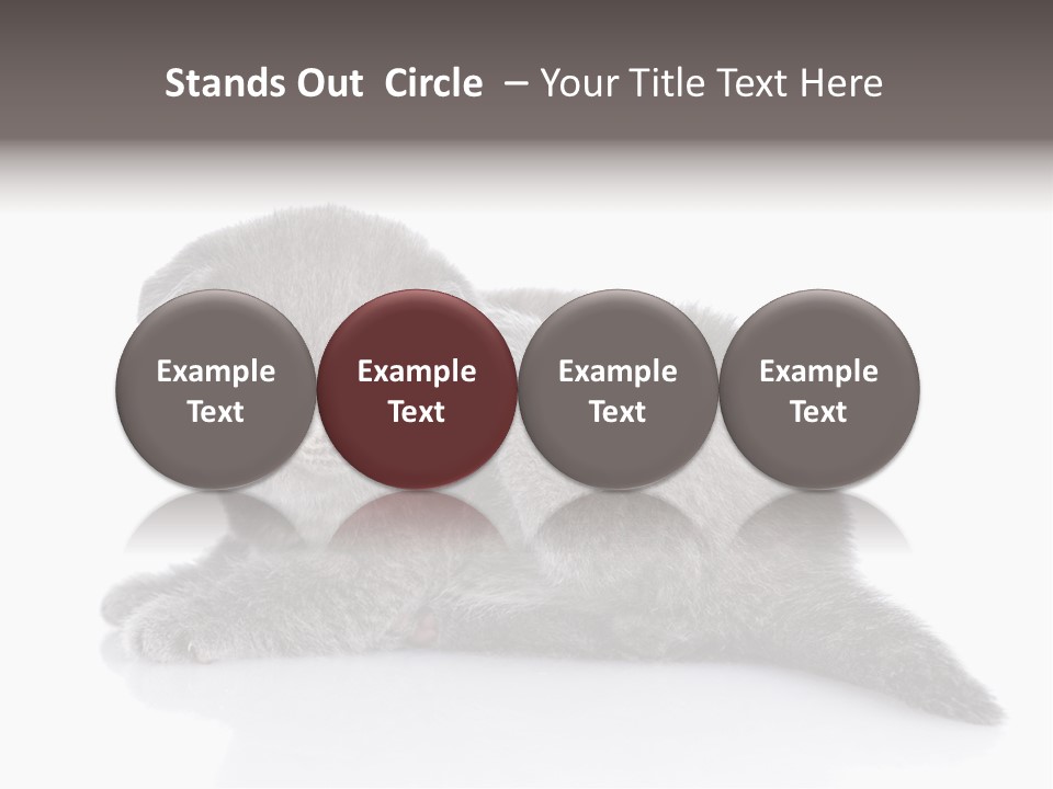 Scratch British English PowerPoint Template