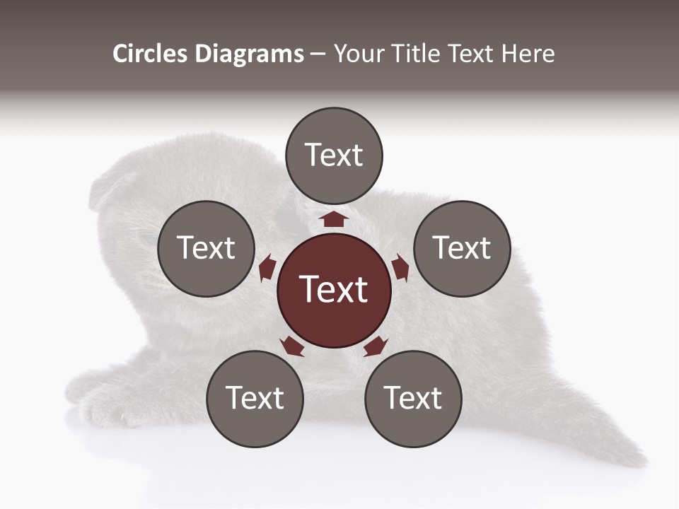 Scratch British English PowerPoint Template