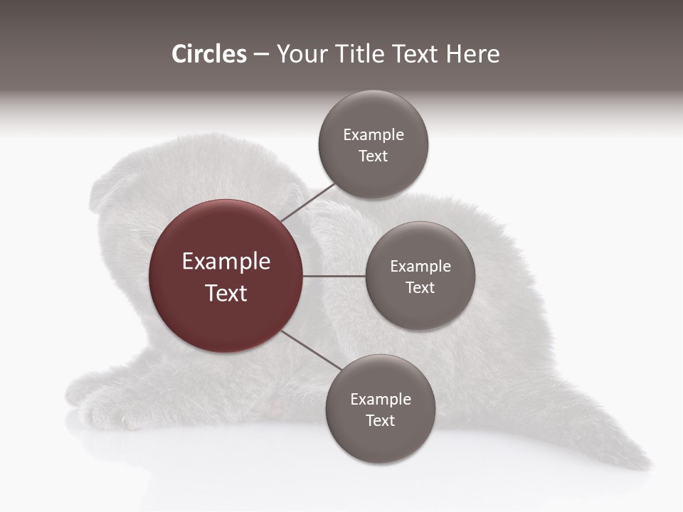 Scratch British English PowerPoint Template