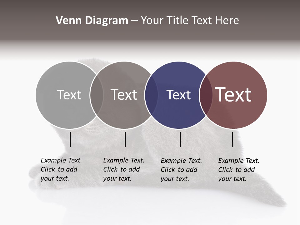 Scratch British English PowerPoint Template