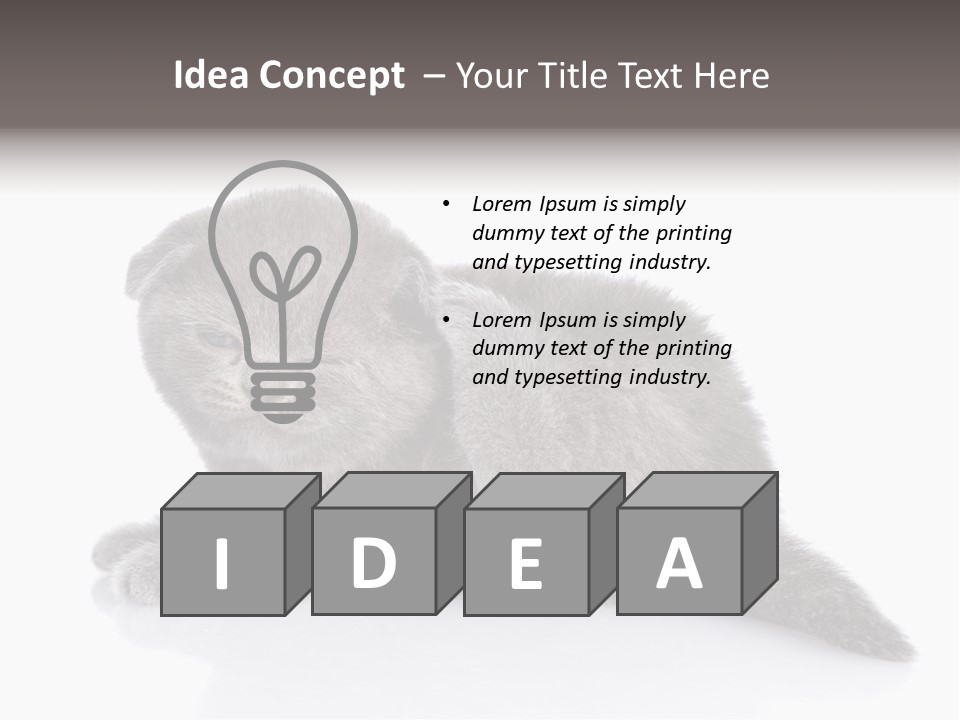 Scratch British English PowerPoint Template