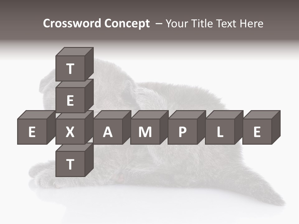 Scratch British English PowerPoint Template