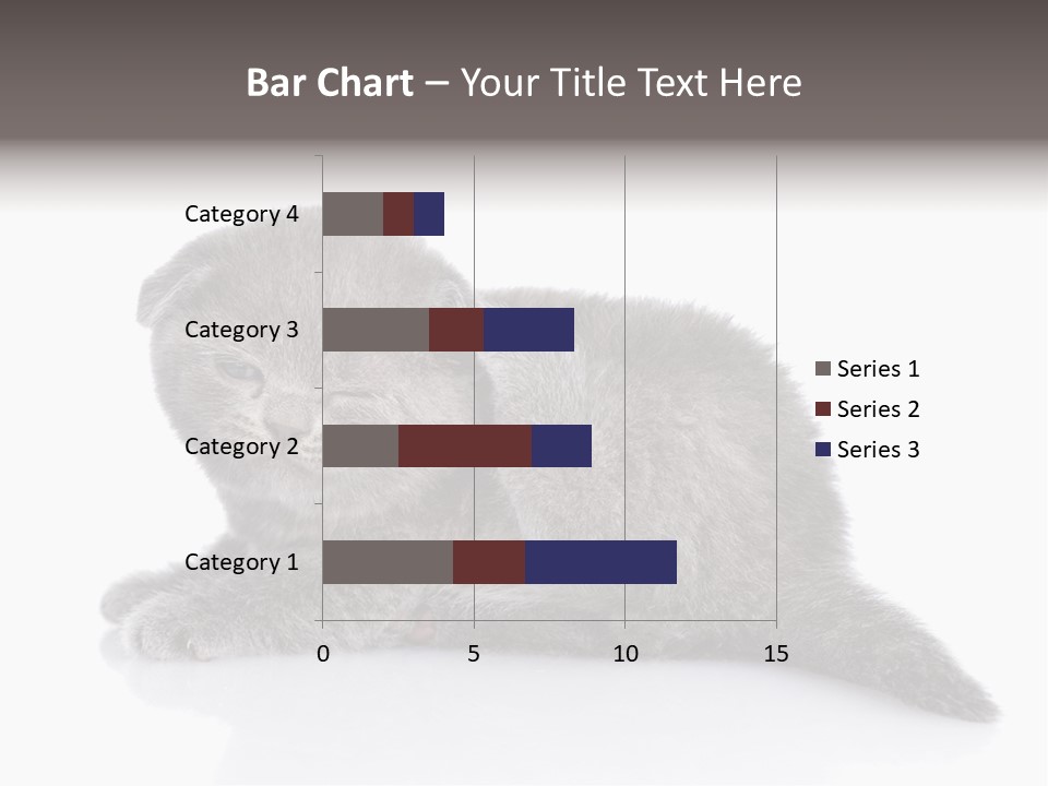 Scratch British English PowerPoint Template