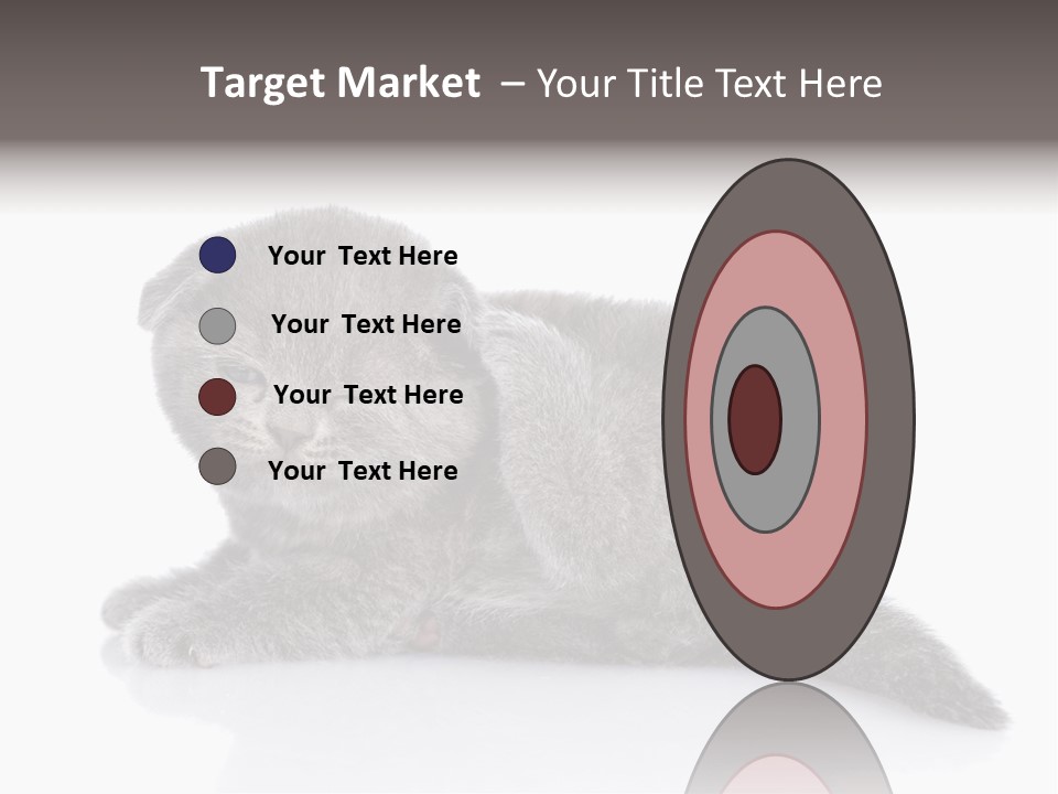 Scratch British English PowerPoint Template