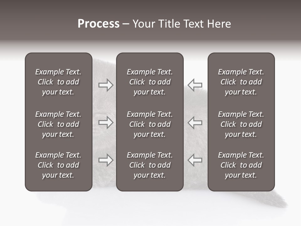 Scratch British English PowerPoint Template
