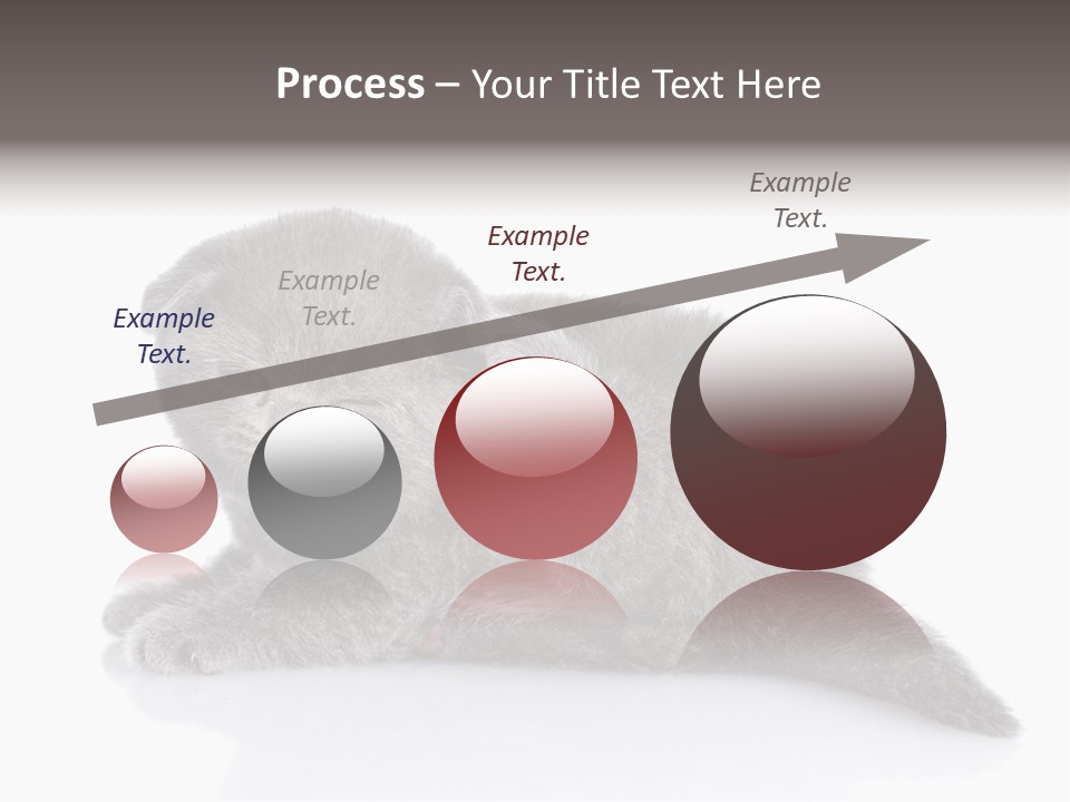 Scratch British English PowerPoint Template