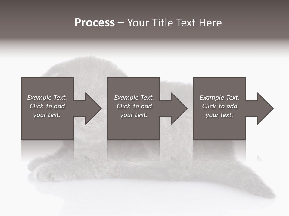 Scratch British English PowerPoint Template