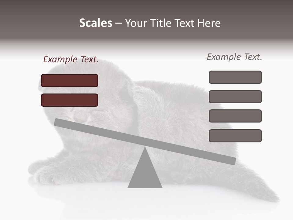 Scratch British English PowerPoint Template