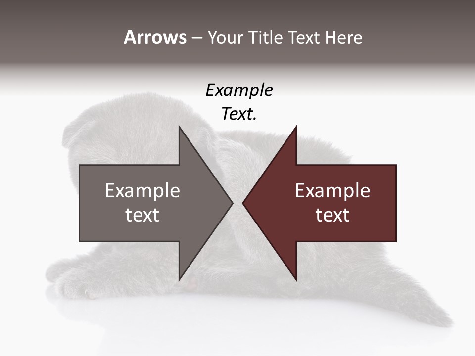 Scratch British English PowerPoint Template