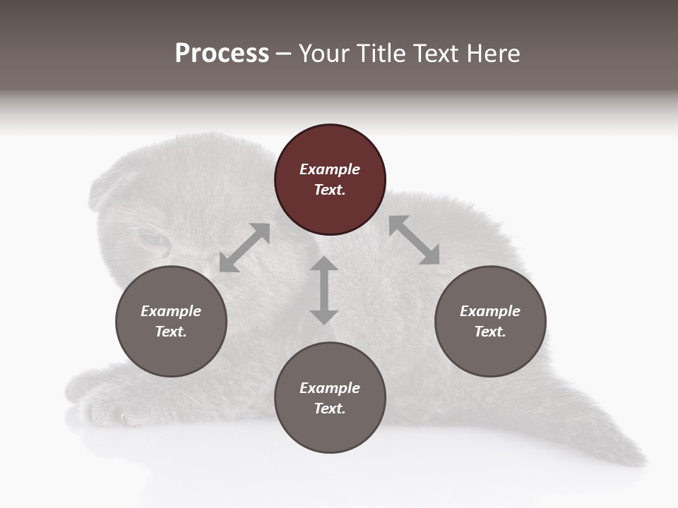 Scratch British English PowerPoint Template