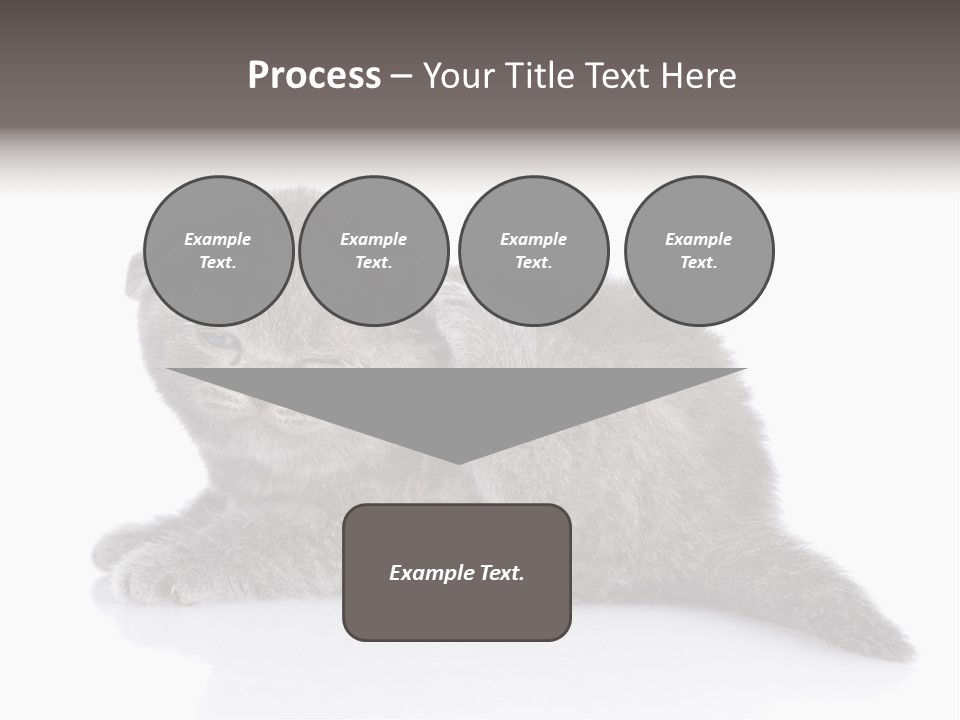 Scratch British English PowerPoint Template