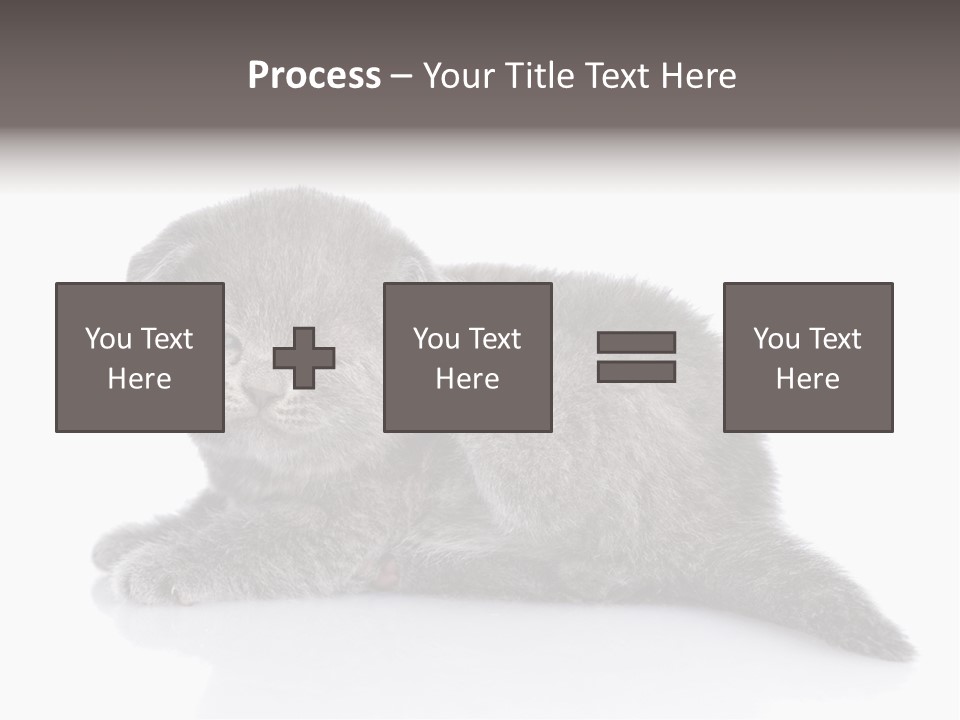 Scratch British English PowerPoint Template