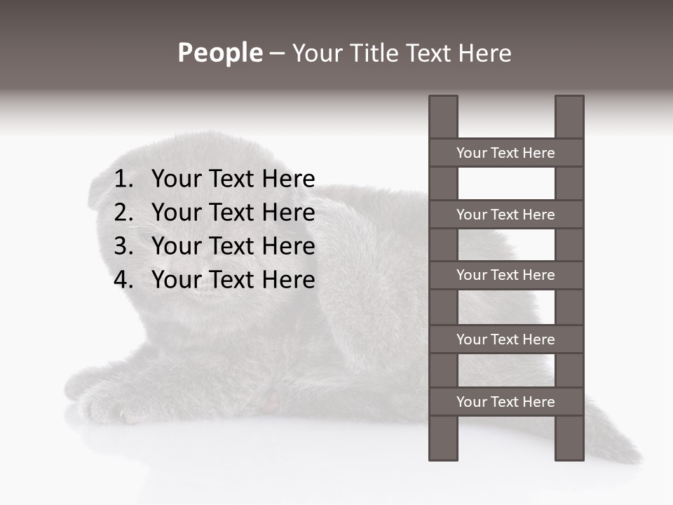 Scratch British English PowerPoint Template