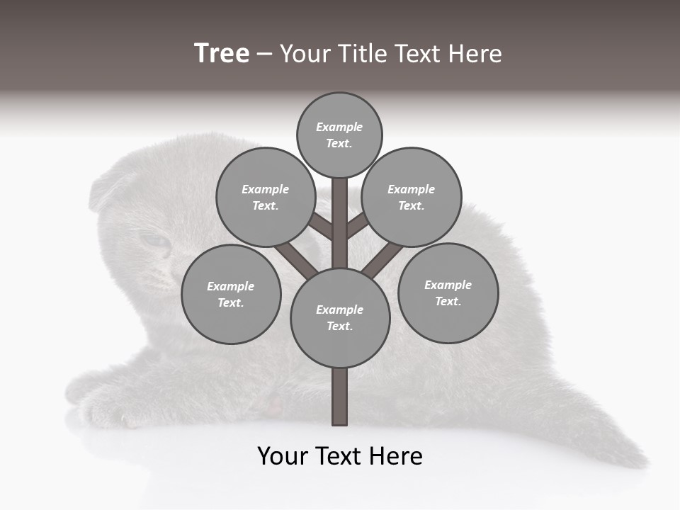 Scratch British English PowerPoint Template