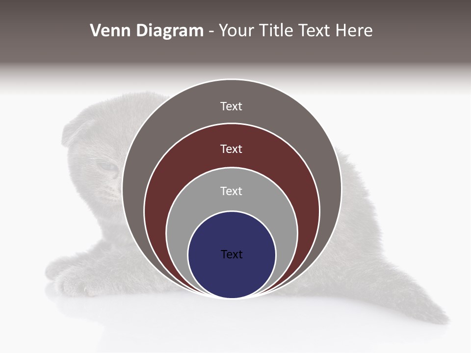 Scratch British English PowerPoint Template