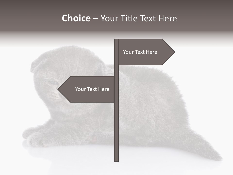 Scratch British English PowerPoint Template