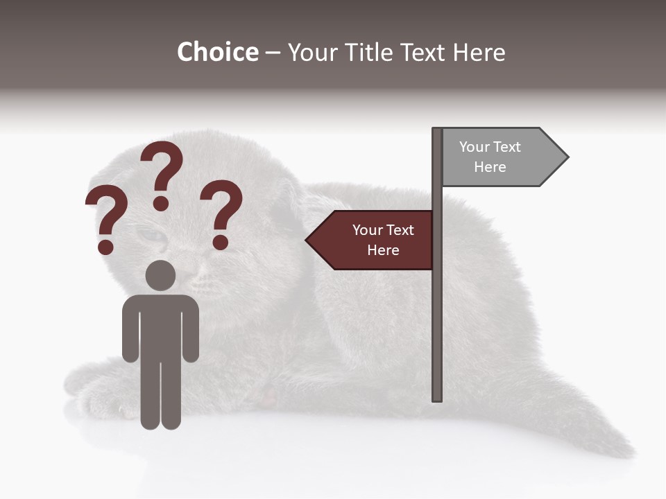 Scratch British English PowerPoint Template