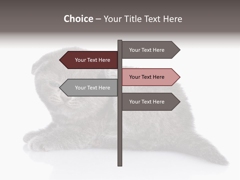 Scratch British English PowerPoint Template