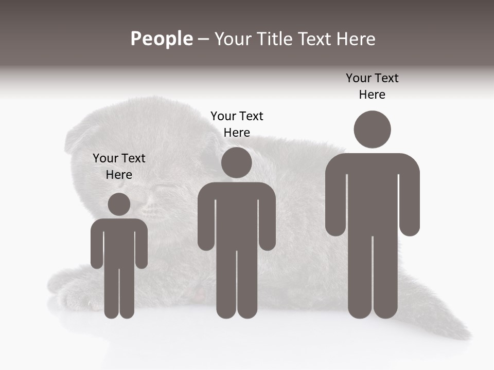 Scratch British English PowerPoint Template