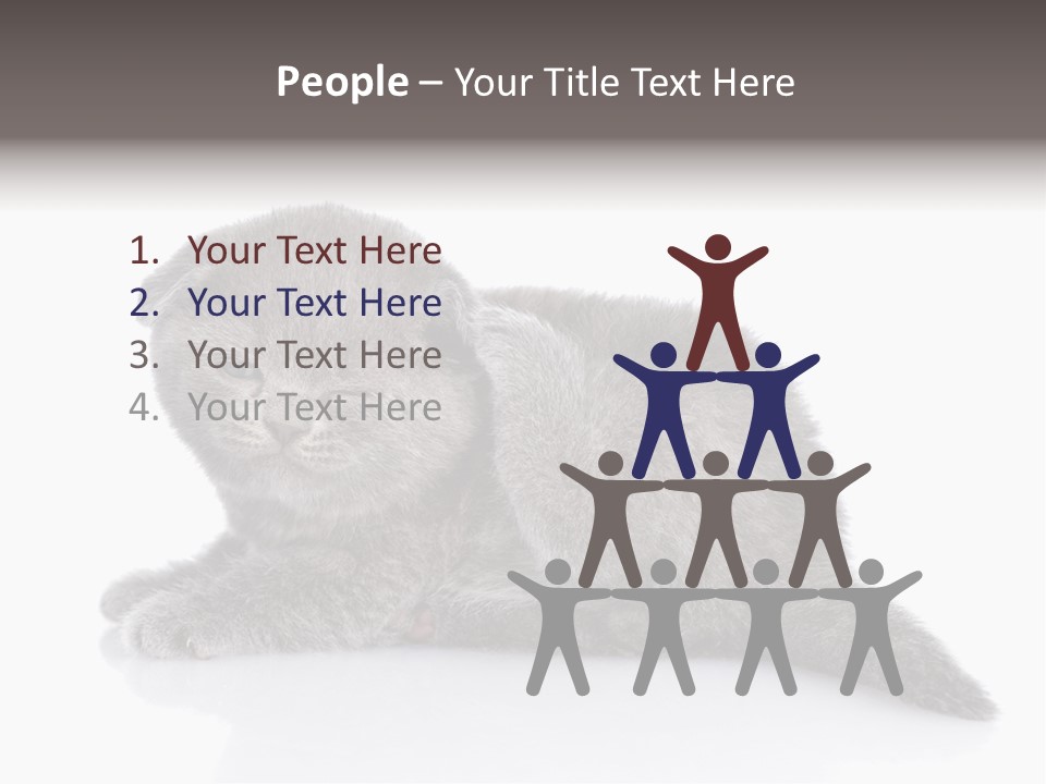 Scratch British English PowerPoint Template