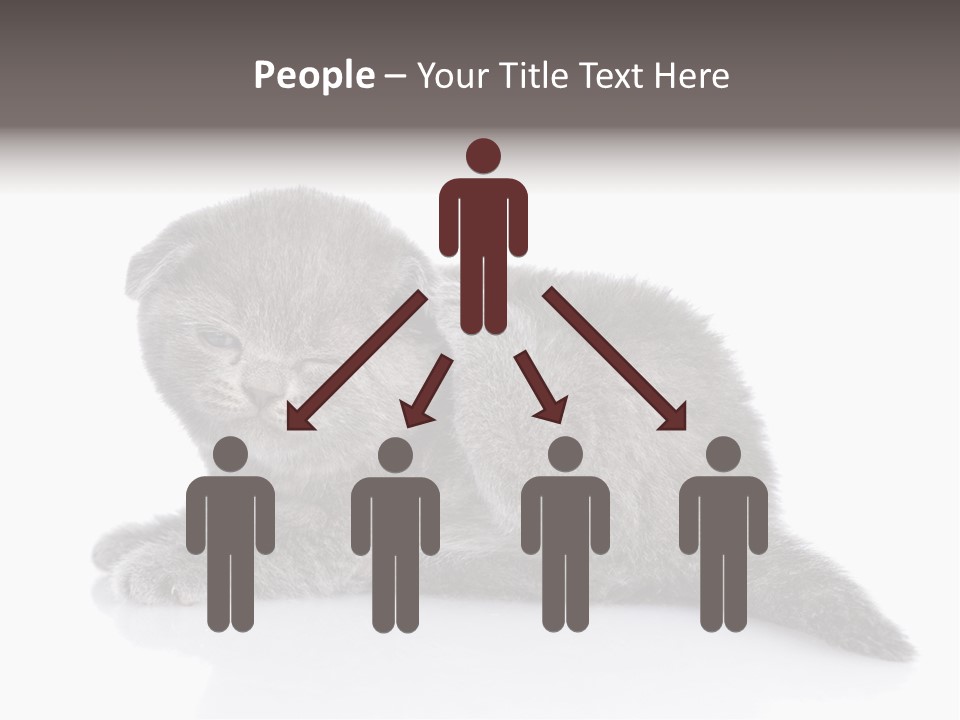 Scratch British English PowerPoint Template