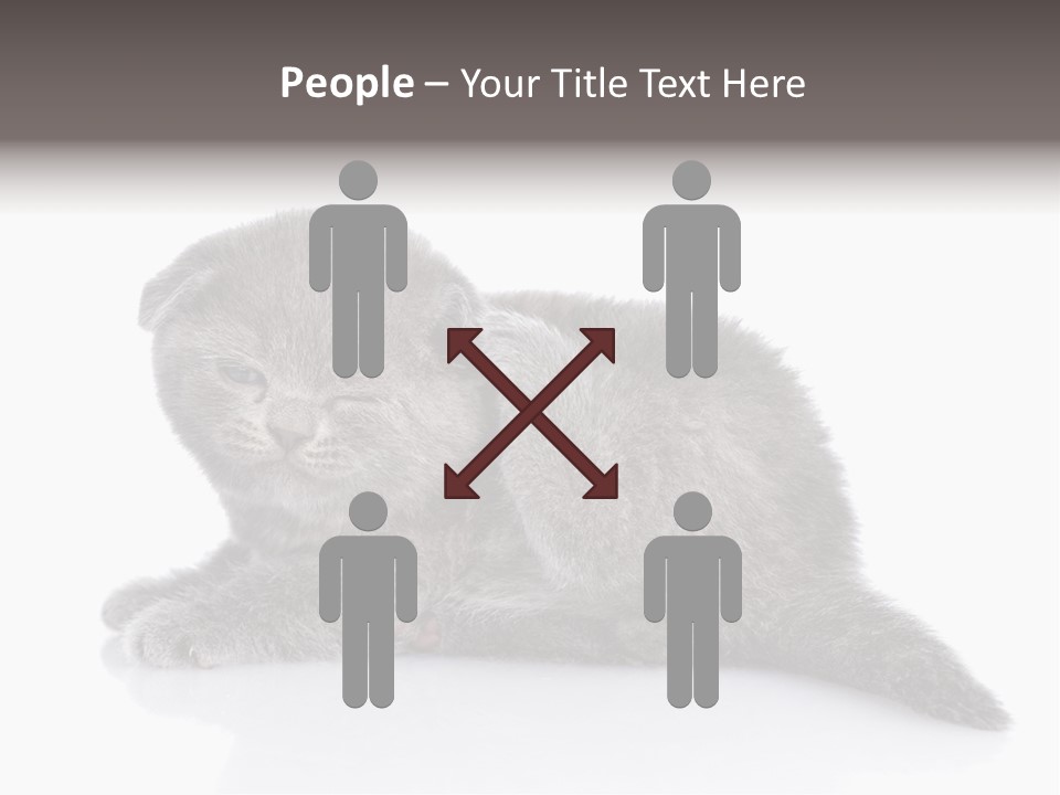 Scratch British English PowerPoint Template